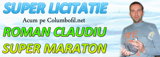 https://www.columbofil.net/index.php?act=licitatii&id=2513